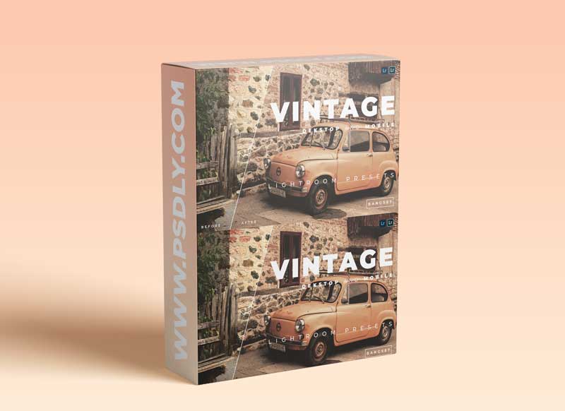 Vintage Desktop and Mobile Lightroom Preset