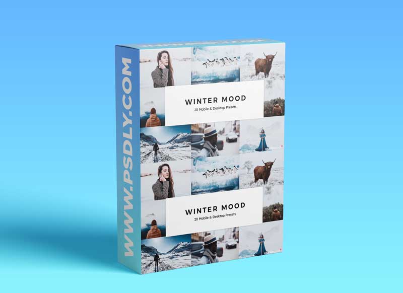 20 Winter Mood Lightroom Presets & LUTs