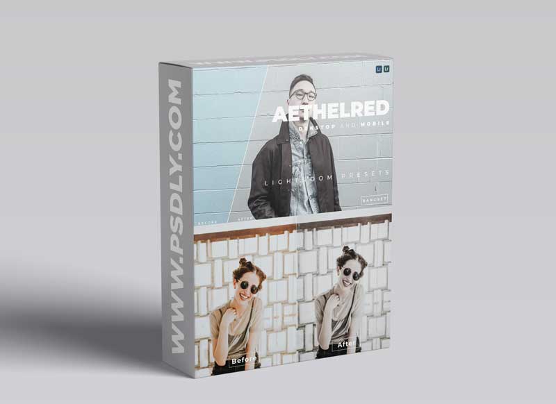 Aethelred Desktop and Mobile Lightroom Preset