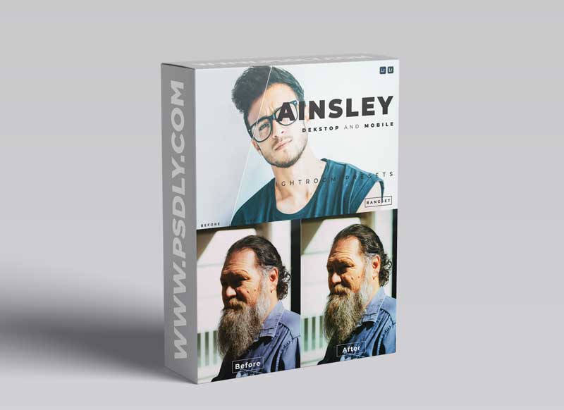 Ainsley Desktop and Mobile Lightroom Preset