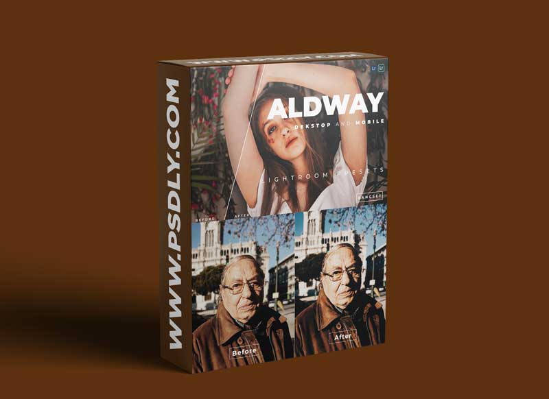 Aldway Desktop and Mobile Lightroom Preset
