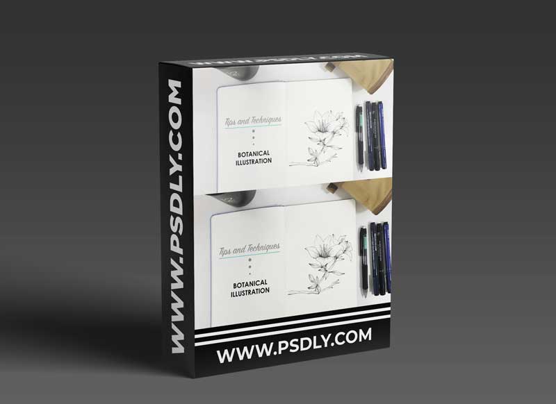 Botanical Illustration - Basic Tips