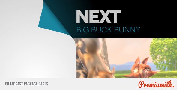 Videohive Broadcast Package Pages 3447987