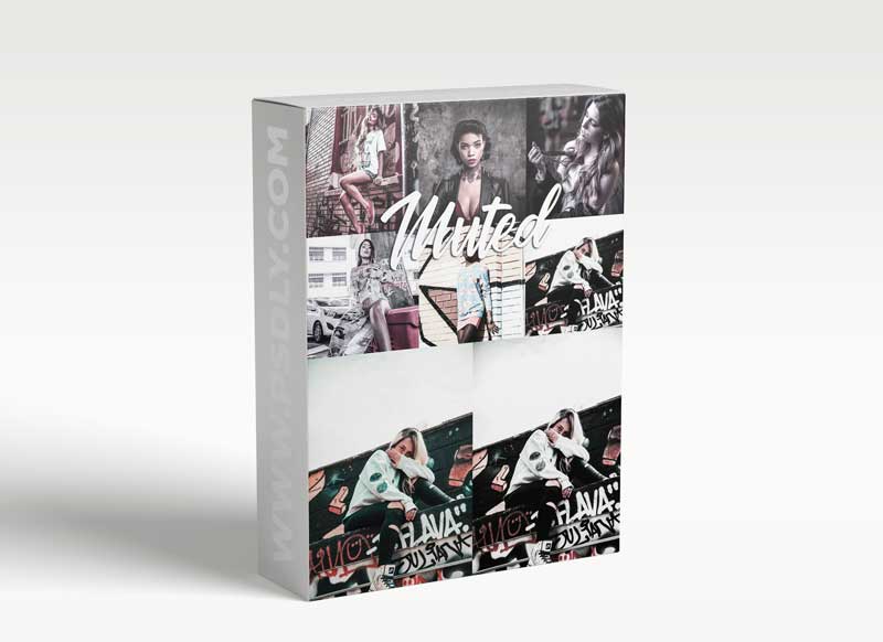 CreativeMarket - 10 Lightroom Presets - Muted 3814154