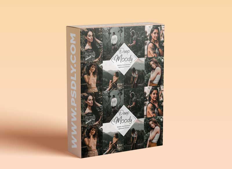 CreativeMarket - 10 Lightroom Presets Neo Deep Moody 6113996