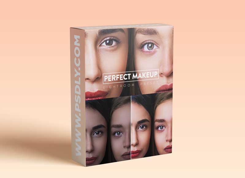 CreativeMarket - 10 Perfect Makeup Lightroom Preset 6145260