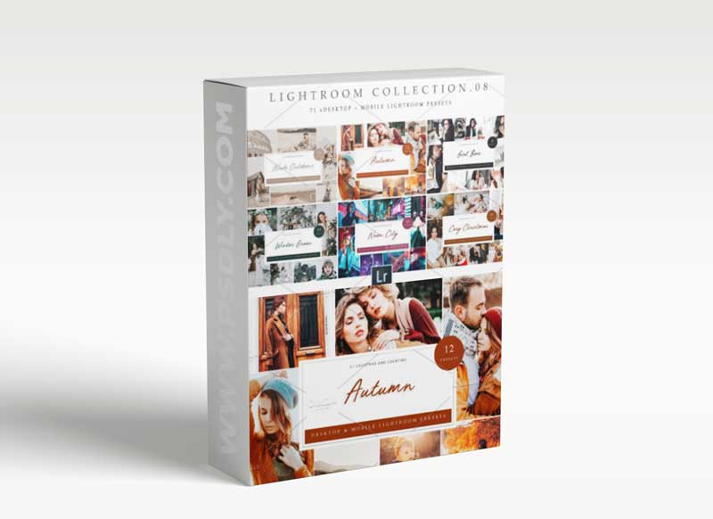 CreativeMarket - BUNDLE 08 Lightroom Collection X 71 6075960