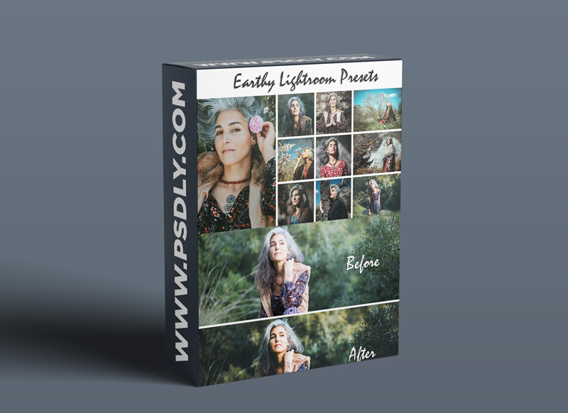CreativeMarket - Earthy Lightroom Presets 4611887