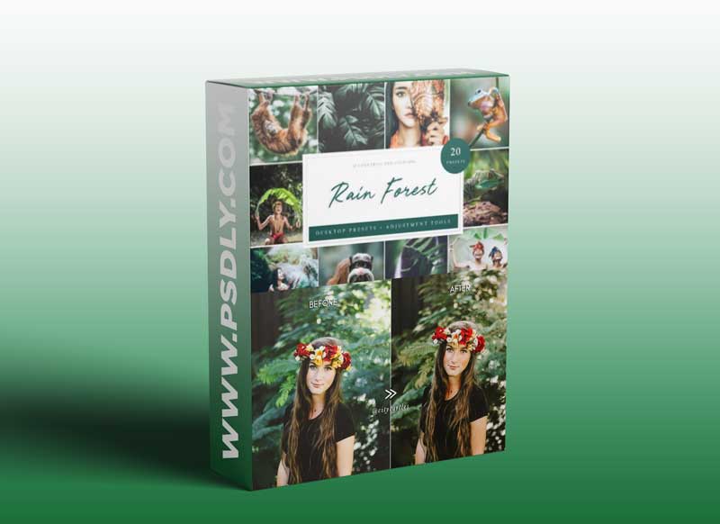 CreativeMarket - Rain Forest // Desktop Presets 4594872