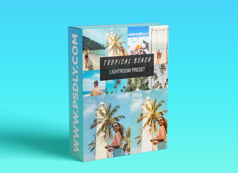 CreativeMarket - Tropical beach lightroom preset 4653890