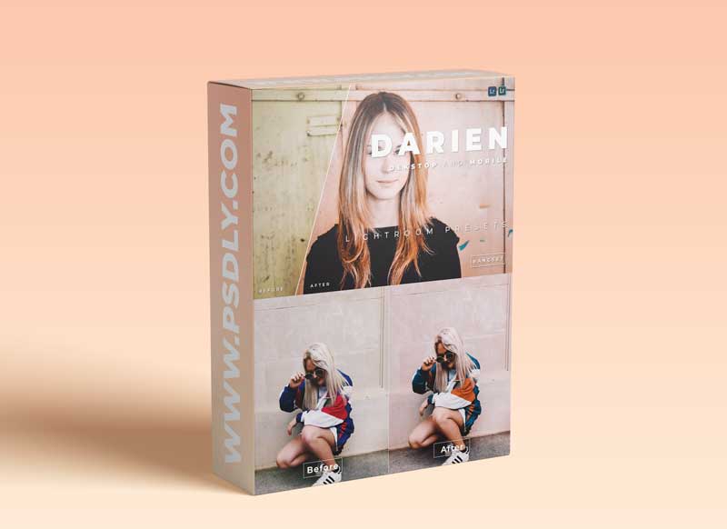 Darien Desktop and Mobile Lightroom Preset