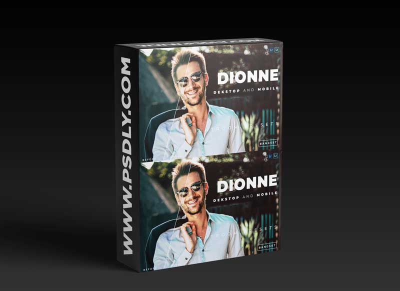 Dionne Desktop and Mobile Lightroom Preset