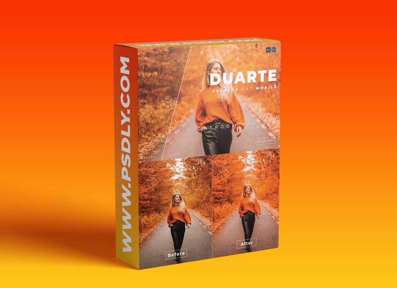 Duarte Desktop and Mobile Lightroom Preset