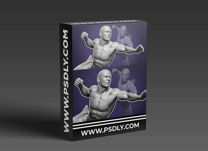 Dynamic Male Anatomy for Artists in Zbrush : Make Realistic 3D Human Model