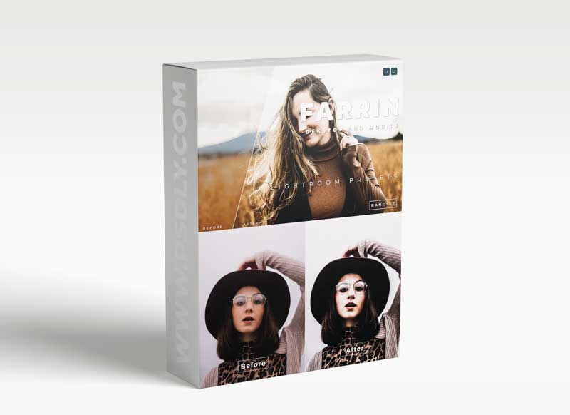 Farrin Desktop and Mobile Lightroom Preset