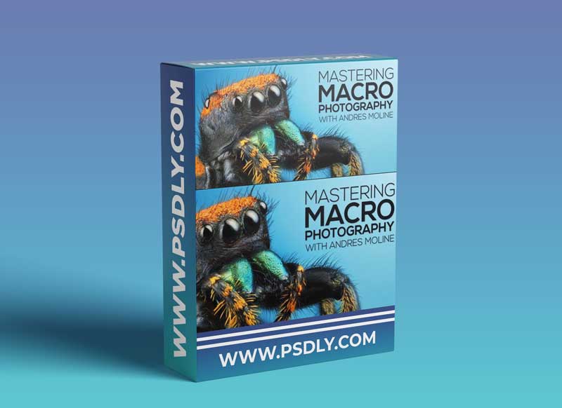 Fstoppers - Mastering Macro Photography - The Complete Shooting and Editing Tutorial - Andres Moline