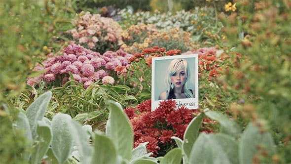 Videohive Instant Memories 19581530