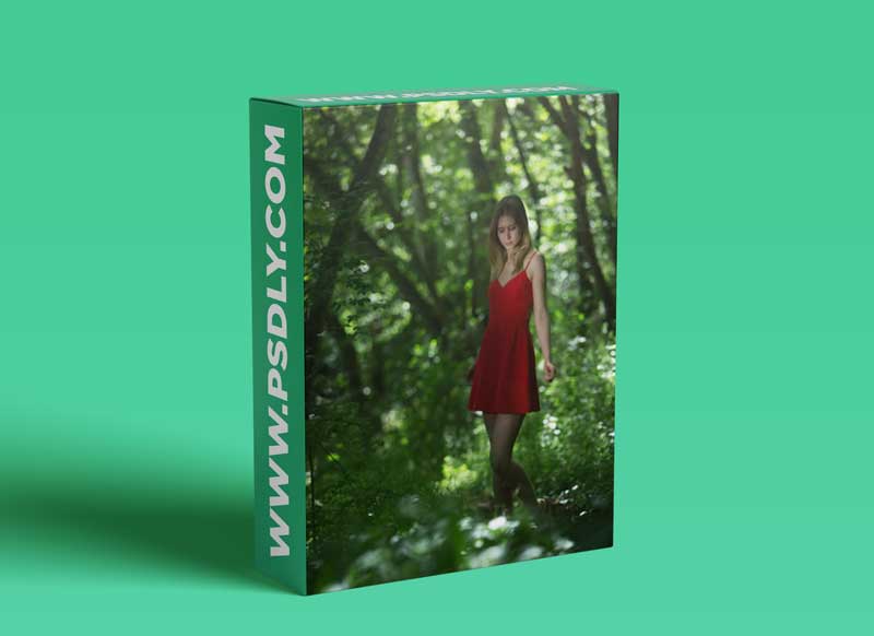 Karl Taylor - Natural Light: The Dark Forest