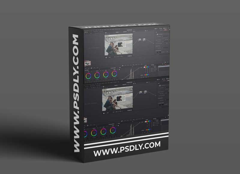 Lowepost - DaVinci Resolve Paint Fixing - Paint and cleanup