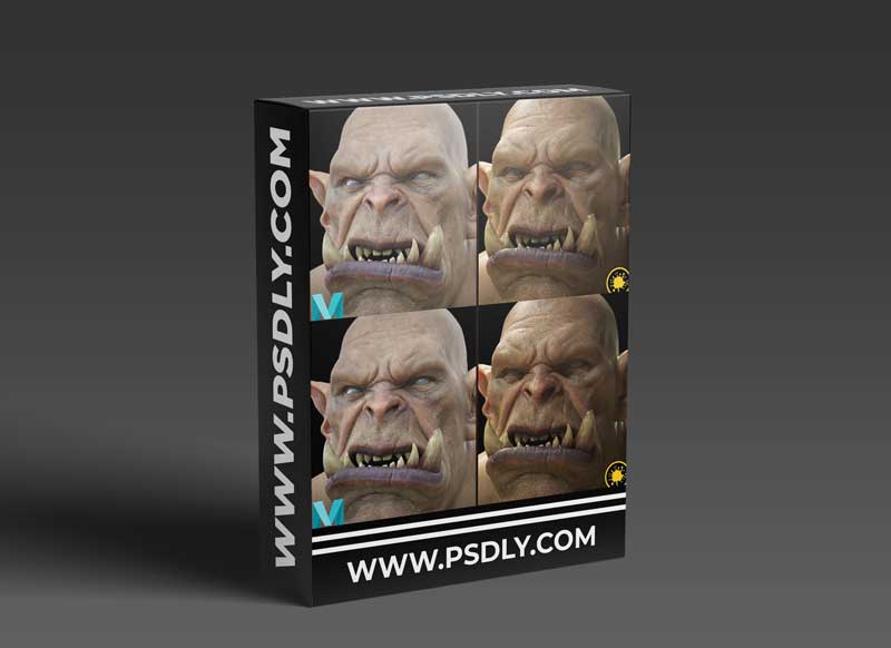 Mari and Maya - Skin Texturing And Shading For VFX