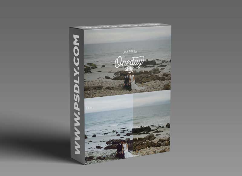 Oneday Story Lightroom Presets