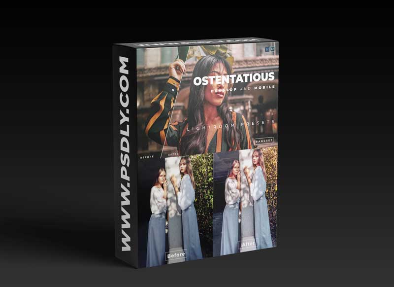 Ostentatious Desktop and Mobile Lightroom Preset