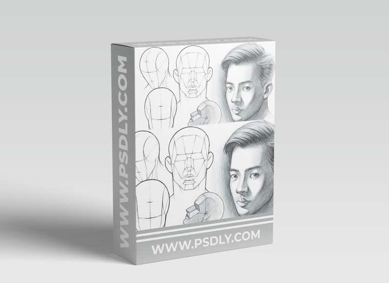 Portrait Drawing Fundamentals Made Simple (Updated)