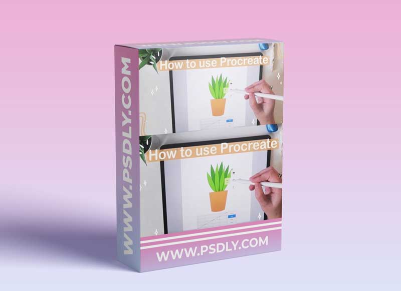 Procreate for Beginners: Learn The Basics & How To Draw