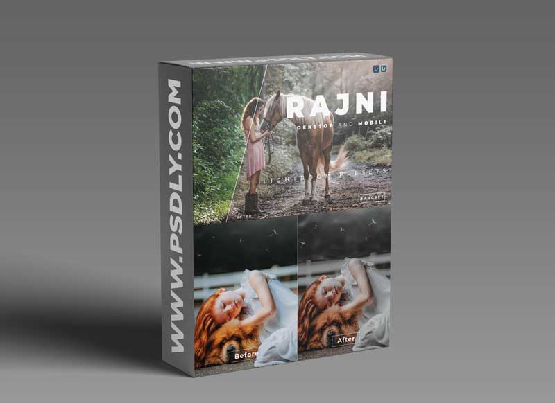 Rajni Desktop and Mobile Lightroom Preset