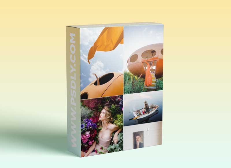 Rebecca Lily Pro Sets V Presets