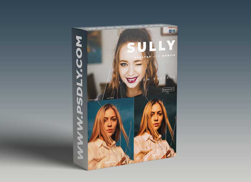 Sully Desktop and Mobile Lightroom Preset