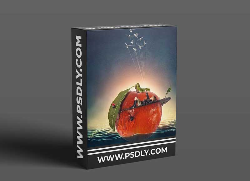 Tara Lesher Education - Compositing Tutorials - James & The Giant Peach