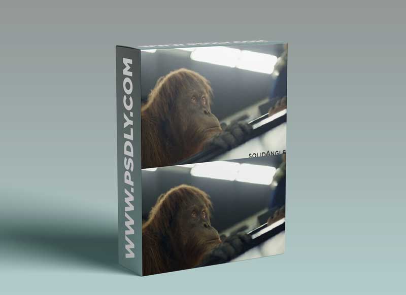 V-ray 5.10.20 for Maya 2022