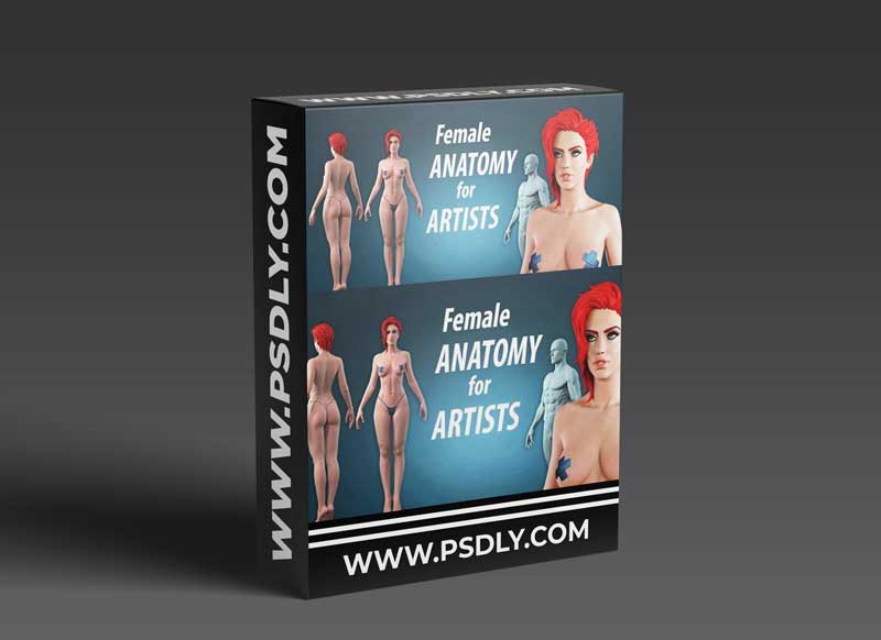 Artstation - Female anatomy for artists course