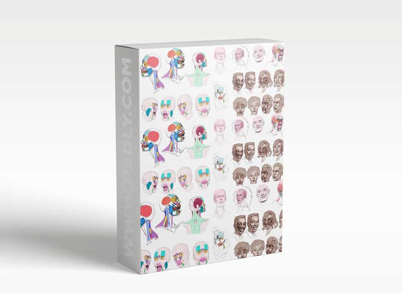 CGMA - Head Drawing and Construction