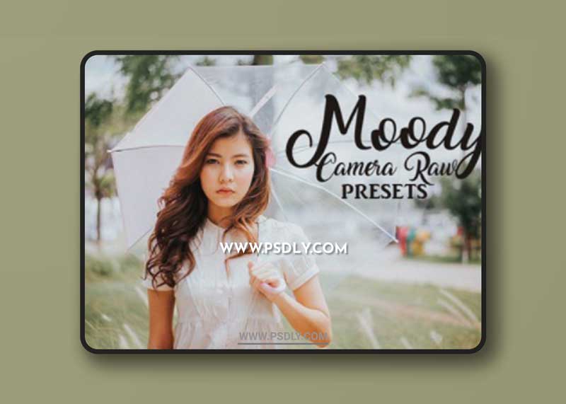 CM - Camera Raw Preset Collection 1941088