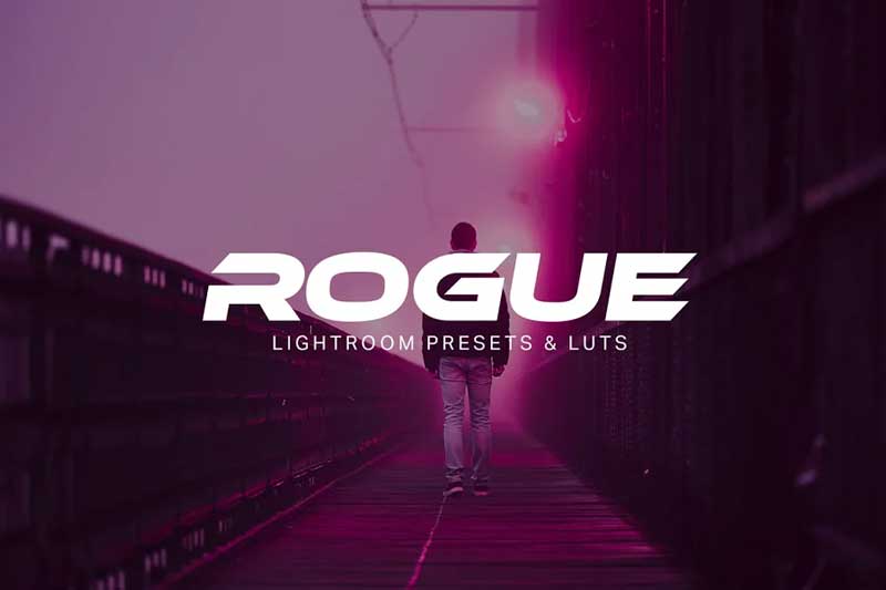 CM - Rogue - Lightroom Presets and LUTs 1974021