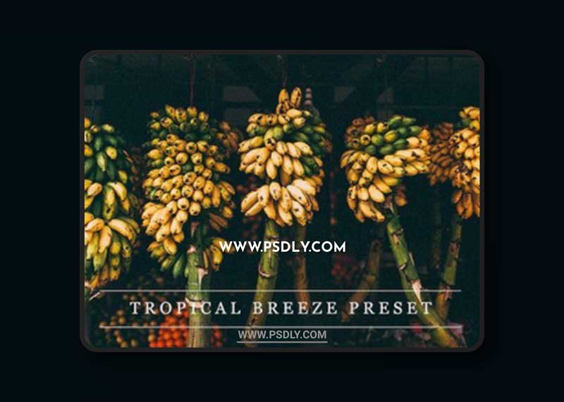 CM - Tropical breeze - Lightroom preset 1237376