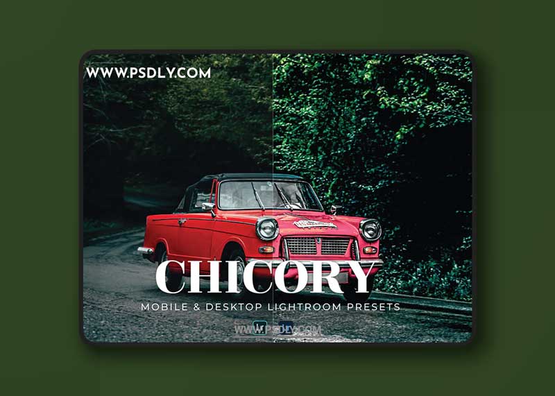Chicory Mobile and Desktop Lightroom Presets
