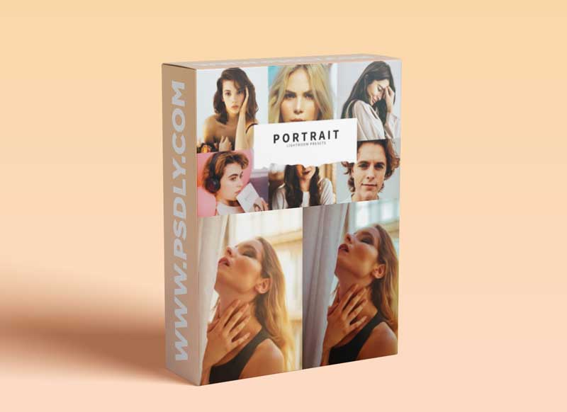 CreativeMarket - 10 Portrait Lightroom Presets 5836907