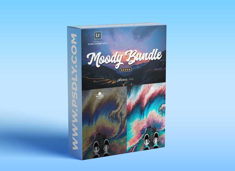 CreativeMarket - Bundle Lightroom Presets 2615245