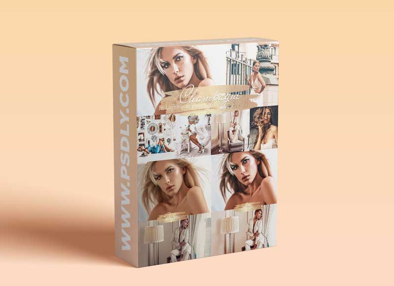 CreativeMarket - Champagne - Bundle Lightroom Presets 5874572