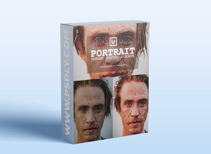 CreativeMarket - Portrait Lightroom Presets 2906188