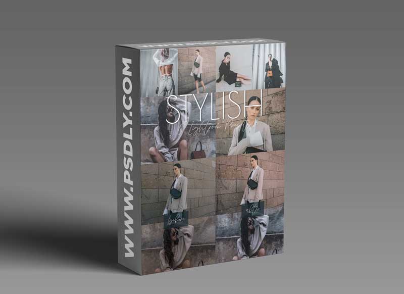 CreativeMarket - Stylish Presets Lightroom Collection 6145783