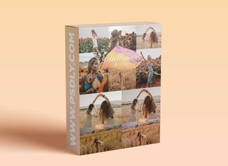 CreativeMarket - Sunflowers - Lightroom Presets Lr 6150441