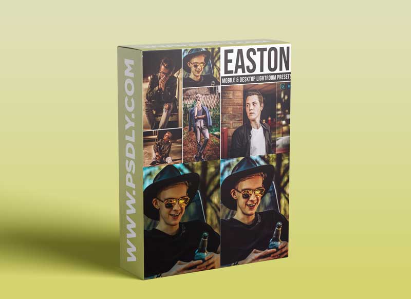 Easton Mobile and Desktop Lightroom Presets