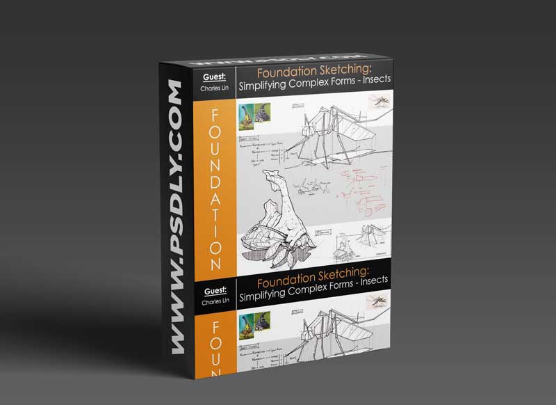 Foundation Patreon - Foundation Sketching: Simplifying Complex Forms - Insects with Charles Lin