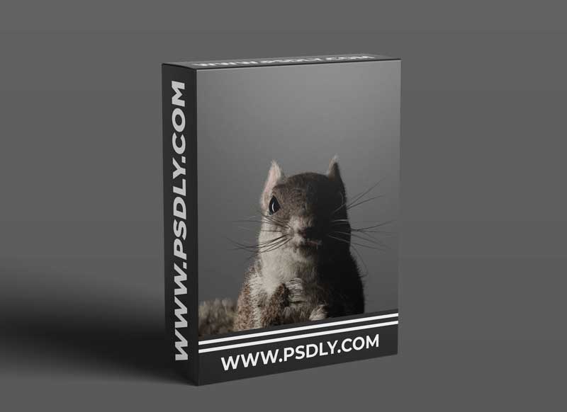 Gumroad - Create Fur with Cinema 4D (Beginner)