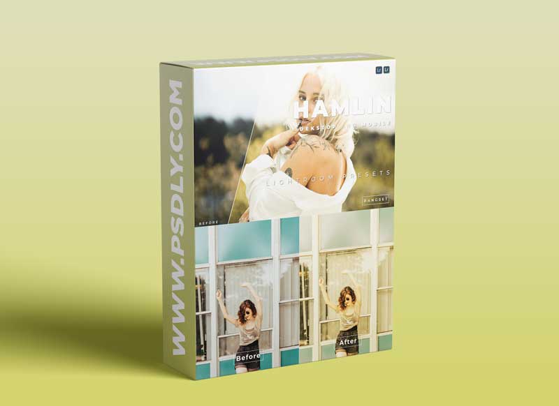 Hamlin Desktop and Mobile Lightroom Preset