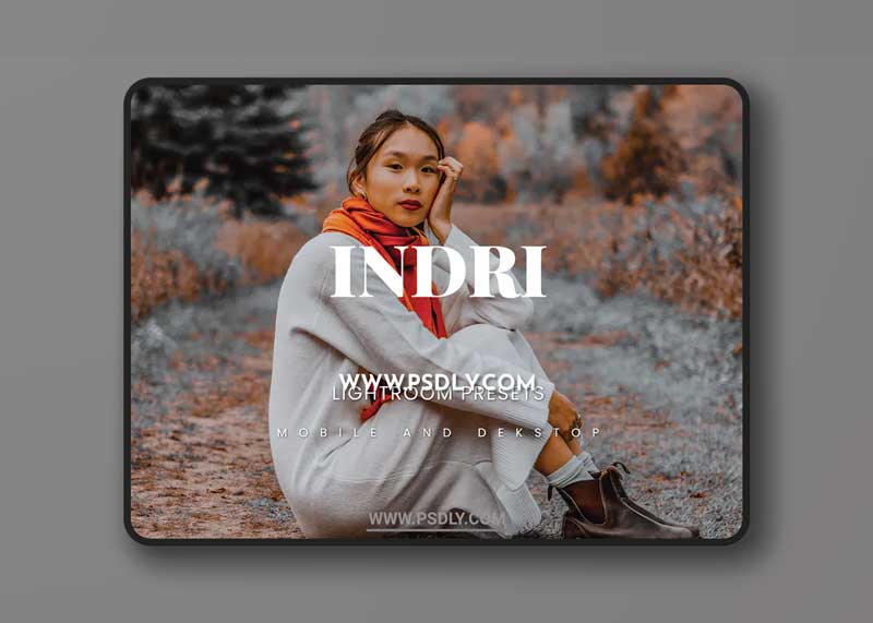 Indri Lightroom Presets Dekstop and Mobile